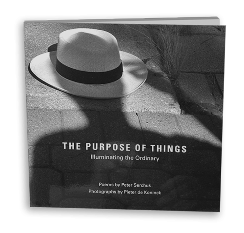 The Purpose of Things
